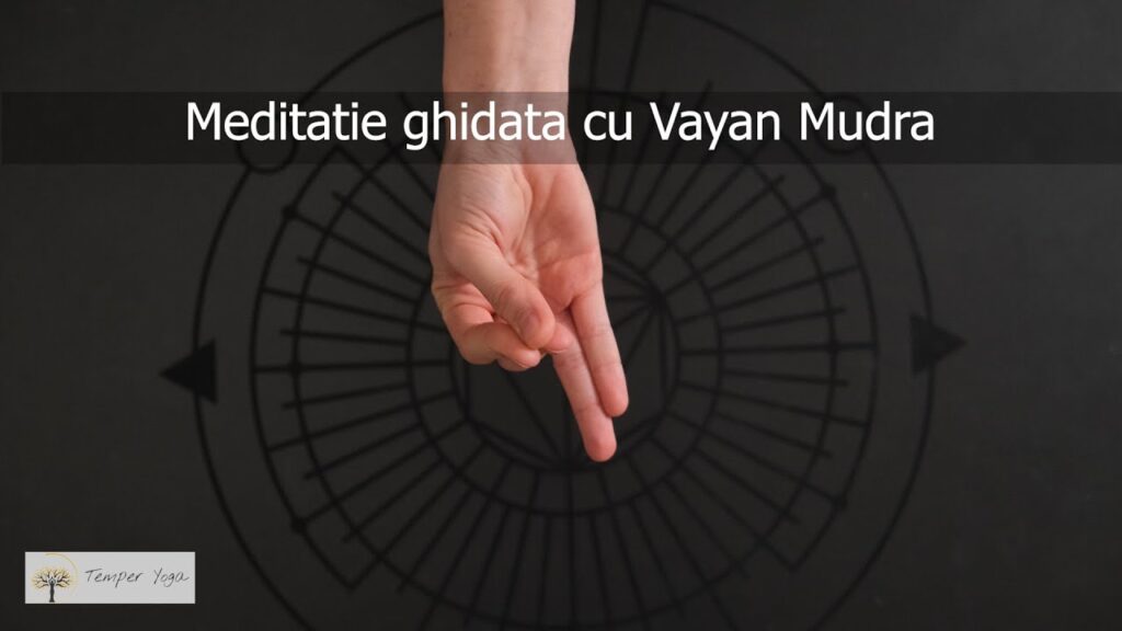 Meditatie Ghidata Cu Vayan Mudra Sistem Circulator Eficiente